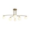 Люстра на штанге Freya Hanger FR5443CL-06BS