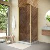Душевой уголок Vegas-Glass EP-Fis NOVO EP-FIS NOVO 90*100 03 05 L 100х90 стекло тонированное профиль золото без поддона