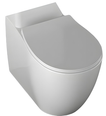 Чаша унитаза напольная Allen Brau Fantasy 4.11009.20 цвет белый без бачка с сиденьем микролифт безободковая каскадный смыв