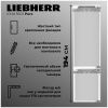 Холодильник двухкамерный Liebherr ICNd 5603-20 001