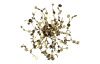 Светильник настенный Crystal Lux Garden (Гарден) GARDEN AP-PL3 D400 GOLD