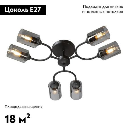 Люстра потолочная Vitaluce V2823-1/6PL
