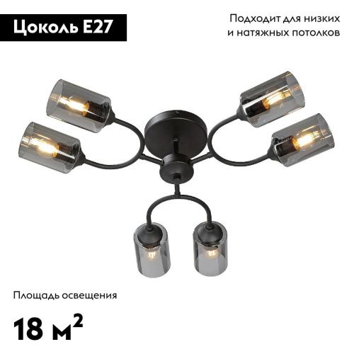 Люстра потолочная Vitaluce V2823-1/6PL - фото 2