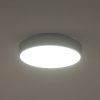 Светильник потолочный Zortes Tortty (Тортты) ZRS.02565.36
