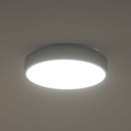 Светильник потолочный Zortes Tortty (Тортты) ZRS.02565.36