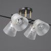 Люстра потолочная Illumico IL0845-6CSQ-25BKAB ELITE