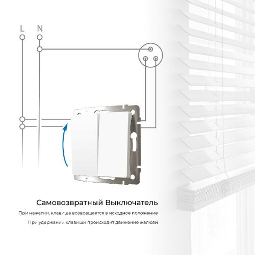Выключатель двухклавишный с самовозвратом Werkel 4690389192319 - фото 2