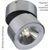 Спот Divinare Urchin (Урцхин) 1295/02 PL-1