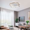 Светильник потолочный LED4U L1037-520 GD