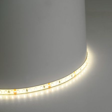 Светодиодная лента Feron LS511 51635