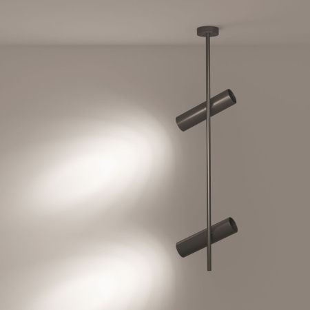 Спот потолочный Maytoni Technical Elti C021CL-02B