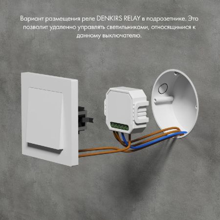 Одноканальное Wi-Fi реле-выключатель Denkirs Relay (Релаы) RL1001-SM/1