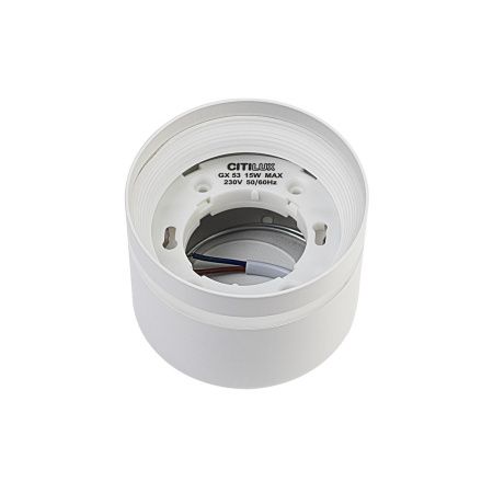 Светильник накладной Citilux Hardy (Харды) CL002C10