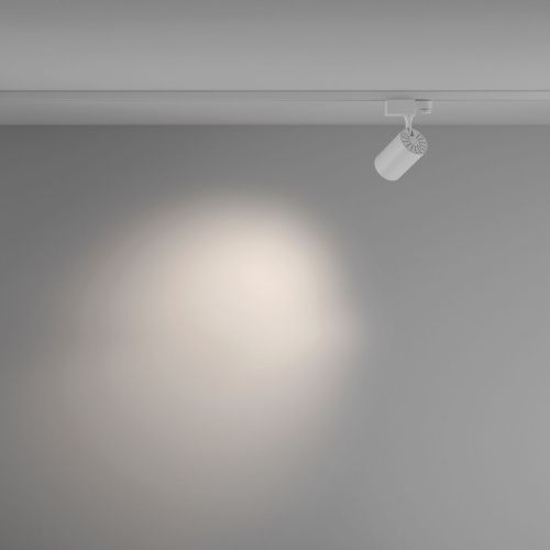 Светильник трековый Maytoni Technical Vuoro TR029-3-10W4K-M-W - фото 4