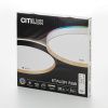 Светильник потолочный музыкальный Citilux Etalon (Еталон) CL750401R