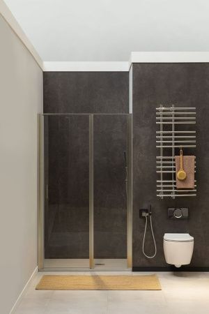 Душевая дверь Allen Brau Priority 3.31029.BA 100х200 стекло прозрачное профиль серебро