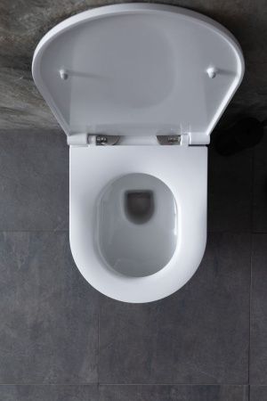 Комплект унитаз с инсталляцией и клавишей смыва Allen Brau Reality 00316510