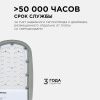 Уличный консольный светильник Apeyron 46051