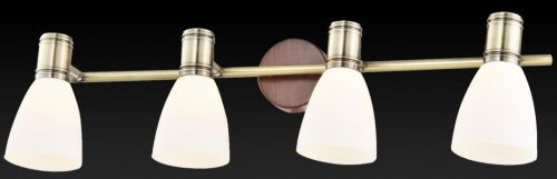 Спот Toplight Sharyl (Схарыл) TL3720Y-04BB - фото 2