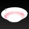 Настенно-потолочный светильник Toplight Clare (Цларе) TL9101Y-02PK