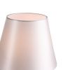 Лампа настольная ST Luce Опал SL1403.304.01