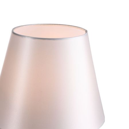 Лампа настольная ST Luce Опал SL1403.304.01