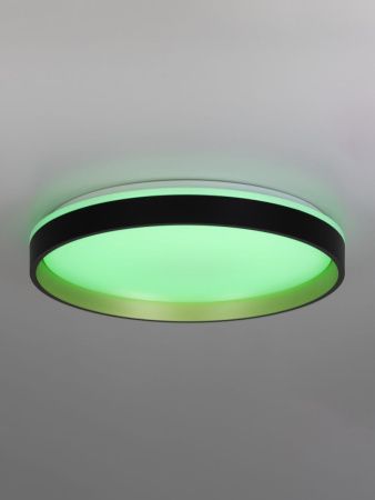 Светильник потолочный музыкальный Citilux Enzo (Ензо) CL753451G
