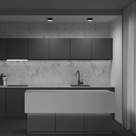 Светильник потолочный Maytoni Technical Zon (Зон) C067CL-L12B4K
