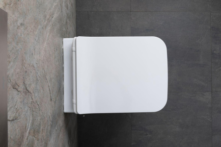 Чаша унитаза подвесная Allen Brau Liberty 4.33009.20 цвет белый без сиденья безободковая каскадный смыв