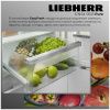 Холодильник двухкамерный Liebherr ICNSd 5603-20 001