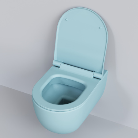 Крышка сиденье Ambassador Abner 102T20801