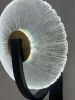Светильник настенный Delight Collection Wall lamp (Валл ламп) OB2415-1A sand black