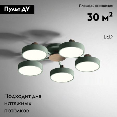 Люстра потолочная ImperiumLoft Move (Мове) 178250-26