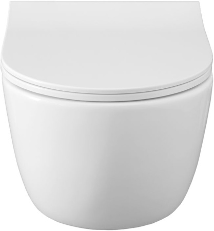 Чаша унитаза подвесная Allen Brau Priority 4.31001.20 цвет белый без сиденья безободковая каскадный смыв