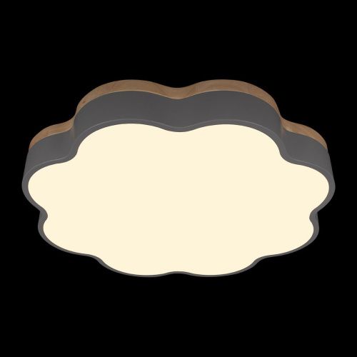 Светильник потолочный Loft It Axel 10225/36 Grey - фото 2