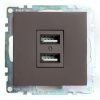 Розетка USB 2-местная Stekker Катрин 49027