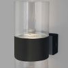 Светильник настенный Eurosvet Watford (Ватфорд) 40021/1 LED чёрный/прозрачный