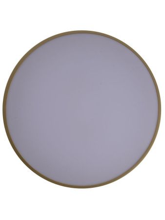 Светильник потолочный Zortes Gabby (Габбы) ZRS.90610.40