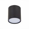 Светильник потолочный ST Luce Rene (Рене) ST113.432.05