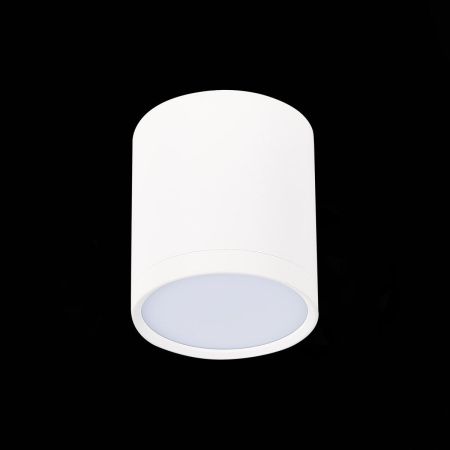 Светильник потолочный ST Luce Rene (Рене) ST113.542.05