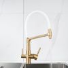 Смеситель для кухни Rose R658G на мойку золото