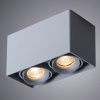 Светильник потолочный Arte Lamp Pictor (Пицтор) A5654PL-2GY