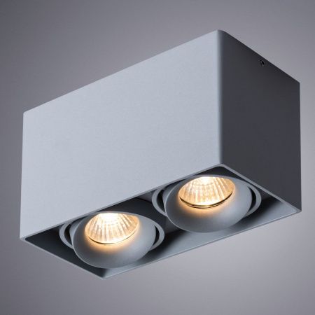 Светильник потолочный Arte Lamp Pictor (Пицтор) A5654PL-2GY