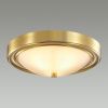 Настенно-потолочный светильник Lumion Vintage (Винтаге) 5259/2C