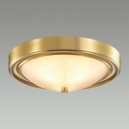 Настенно-потолочный светильник Lumion Vintage (Винтаге) 5259/2C