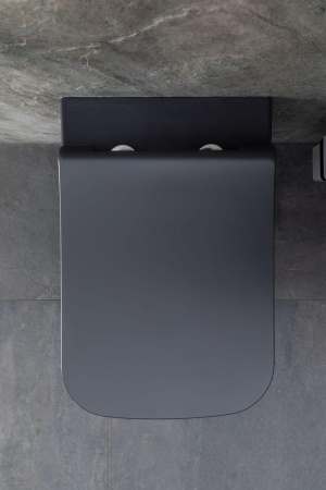 Чаша унитаза подвесная Allen Brau Infinity 4.21011.AN цвет черный без сиденья безободковая каскадный смыв