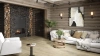 SPC ламинат Alpine Floor Premium XL ECO 7-19 MC Дуб Сливочный толщина 0.8 см 43 класс 1220х183