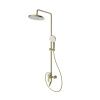 Душевая стойка Splenka S50.24.03 настенная цвет золото