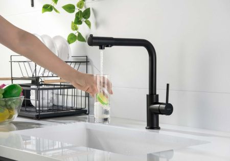 Смеситель для кухни Aquatek ЕВРОПА AQ1386MB на мойку черный