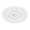 Светильник потолочный музыкальный Citilux Bart (Барт) CL755491